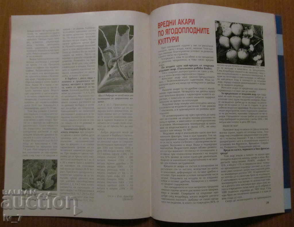 SCRIERE "AGRICULTURĂ" - NUMĂRUL 7-8,2002 - 5 SCRIERE "AGRICULTURĂ" - NUMĂRUL 7-8,2002 - 5
