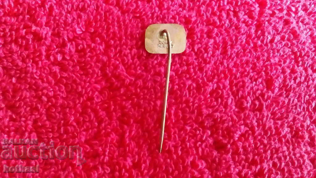 Delivery of Old TESLA KOVO bronze pin badge Delivery of Old TESLA KOVO bronze pin badge