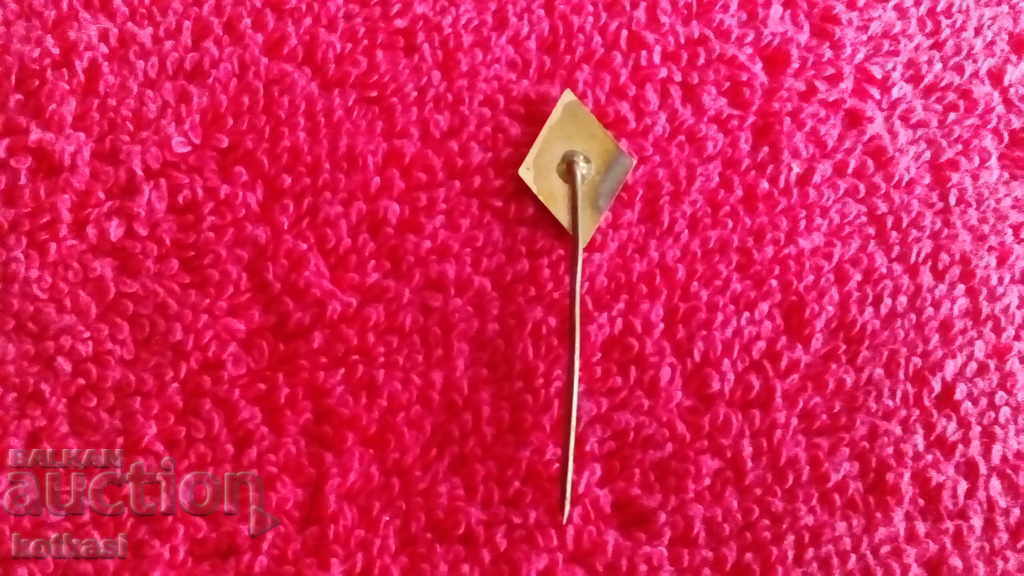 Delivery of Old badge bronze pin enamel Elprom Lovech Delivery of Old badge bronze pin enamel Elprom Lovech