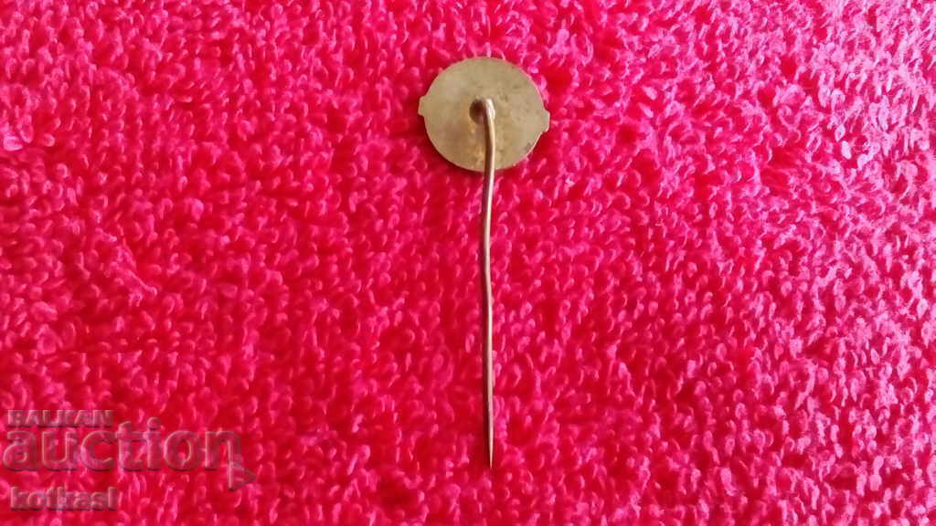 Аукцион Стара значка бронз игла Аукцион Стара значка бронз игла