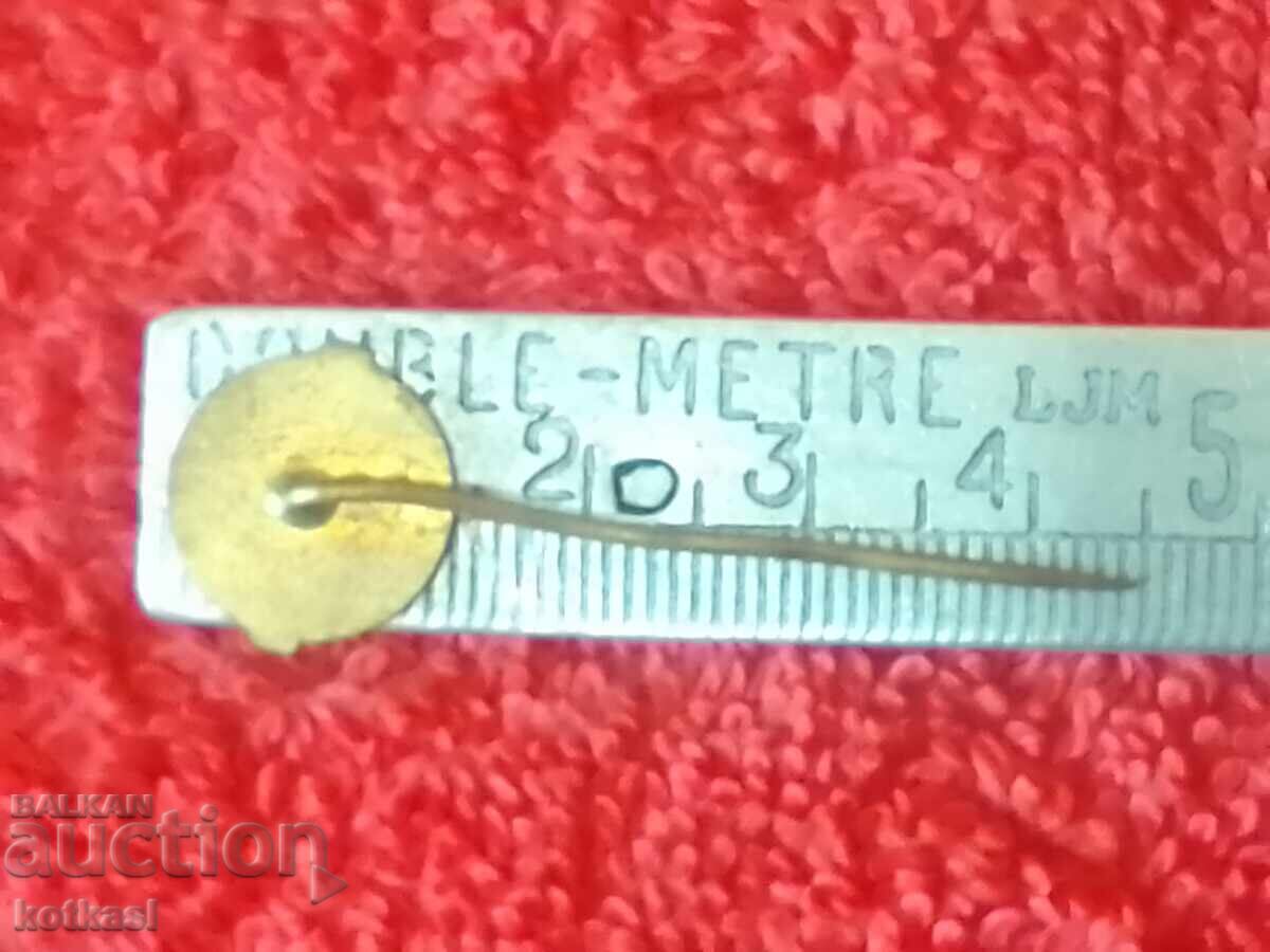 Доставка на Стара значка бронз игла Доставка на Стара значка бронз игла