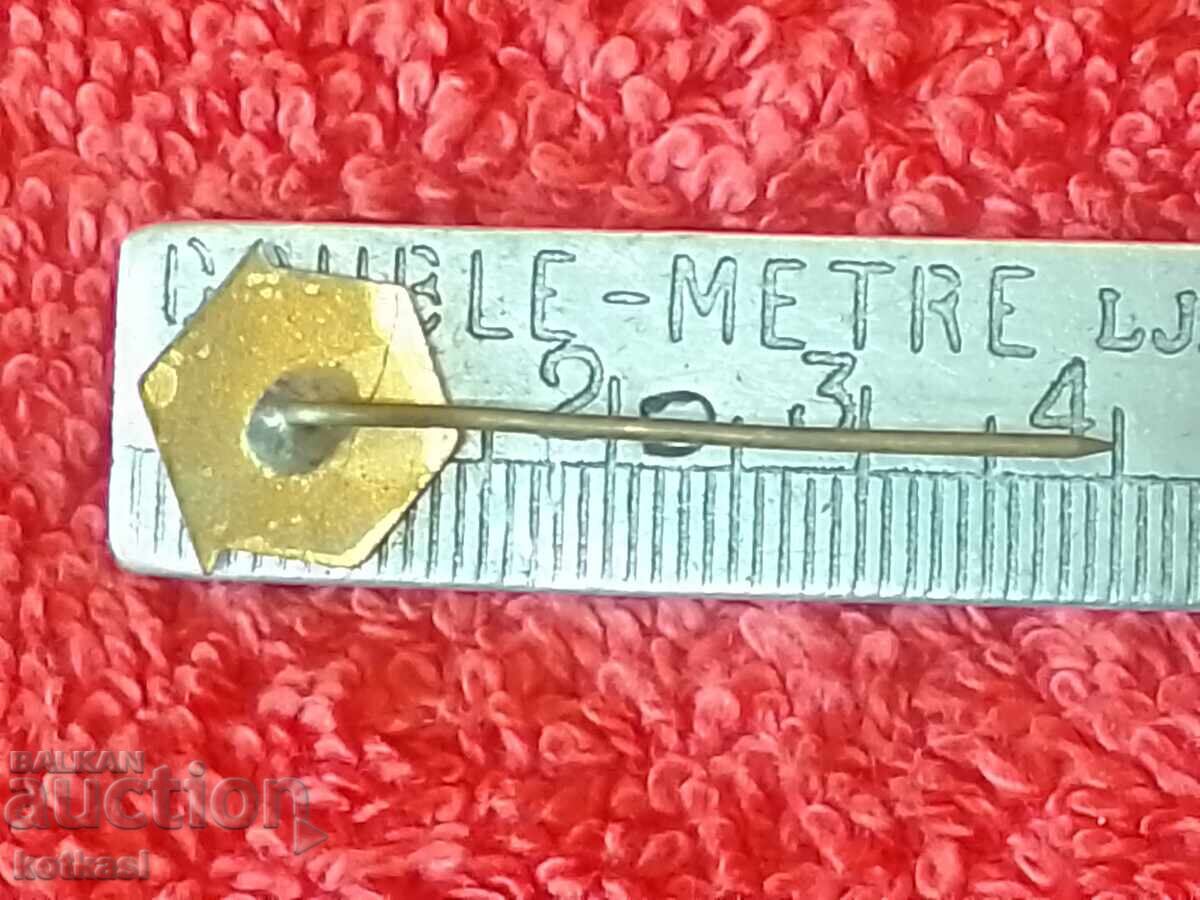 Old metal bronze badge pin enamel with price 2.50 BGN | € 1.28 Old metal bronze badge pin enamel with price 2.50 BGN | € 1.28