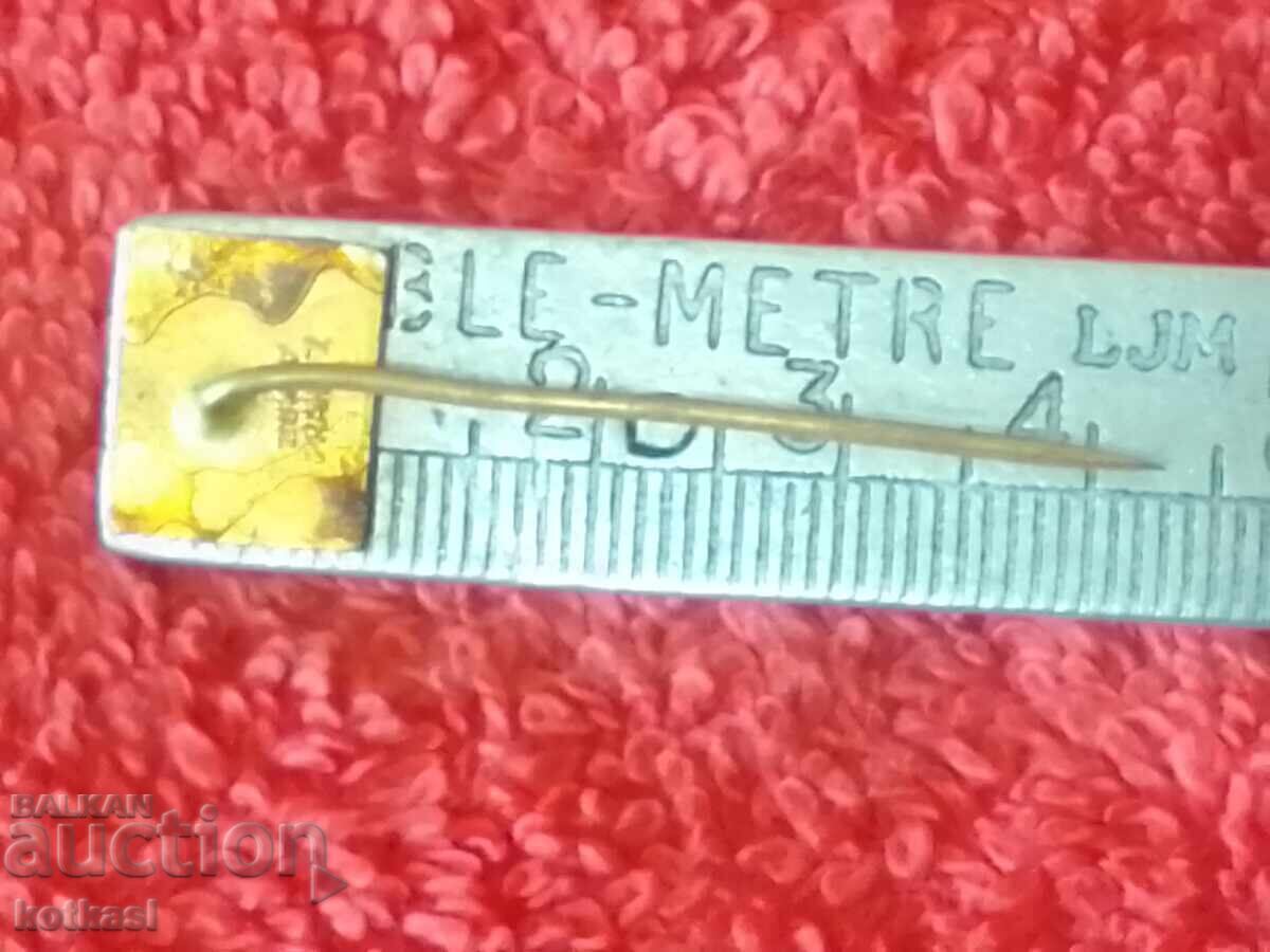 Old metal bronze pin badge TRANS GAS with price 3.50 BGN | € 1.79 Old metal bronze pin badge TRANS GAS with price 3.50 BGN | € 1.79