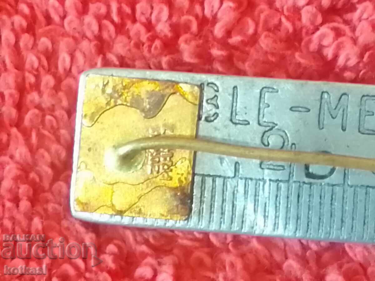 Auction Old metal bronze pin badge TRANS GAS Auction Old metal bronze pin badge TRANS GAS