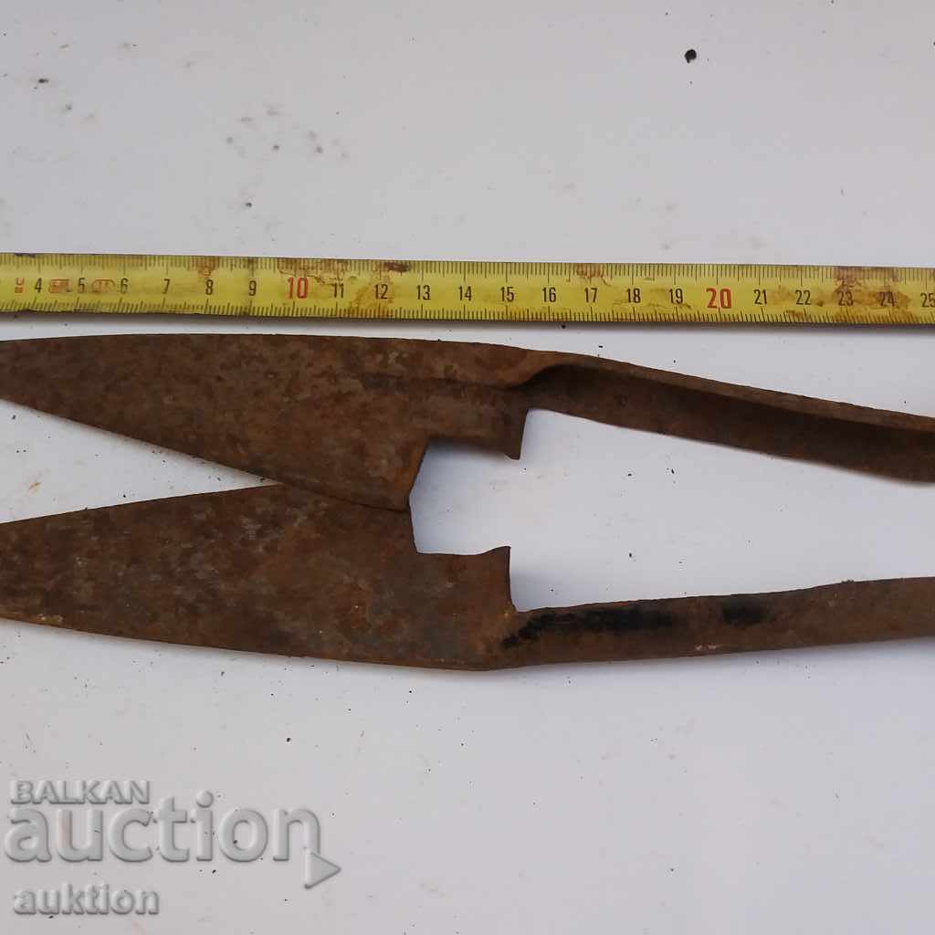 Auction STAR HORSES HANDLE FOR SHEEPING THE SHEEP Auction STAR HORSES HANDLE FOR SHEEPING THE SHEEP