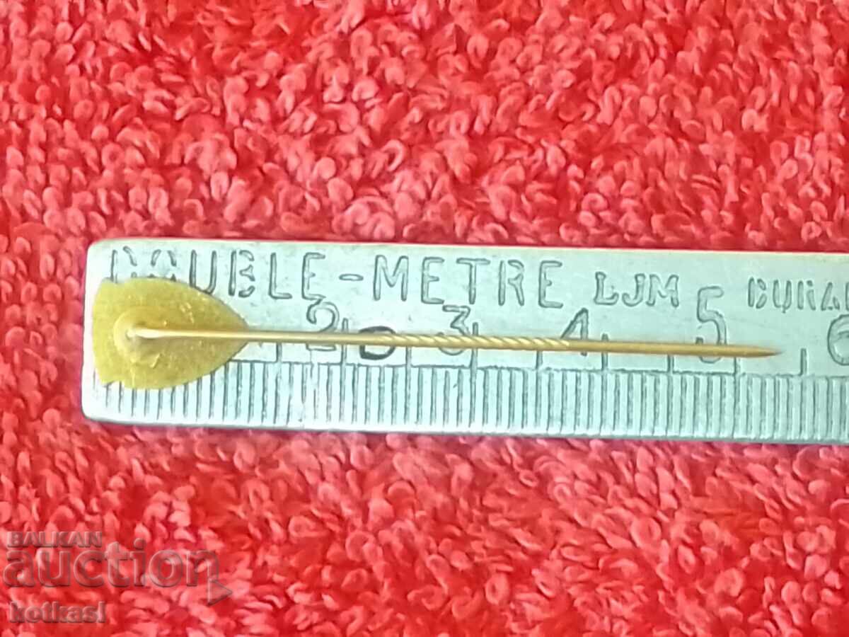 Auction Old bronze pin enamel badge NAMSEN Auction Old bronze pin enamel badge NAMSEN