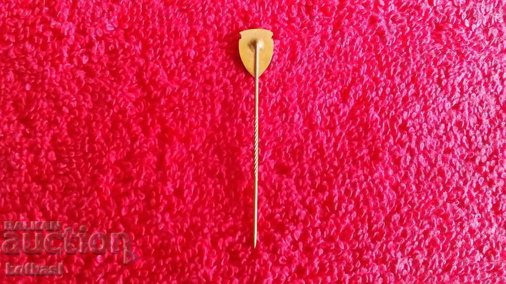 Delivery of Old bronze pin enamel badge NAMSEN Delivery of Old bronze pin enamel badge NAMSEN