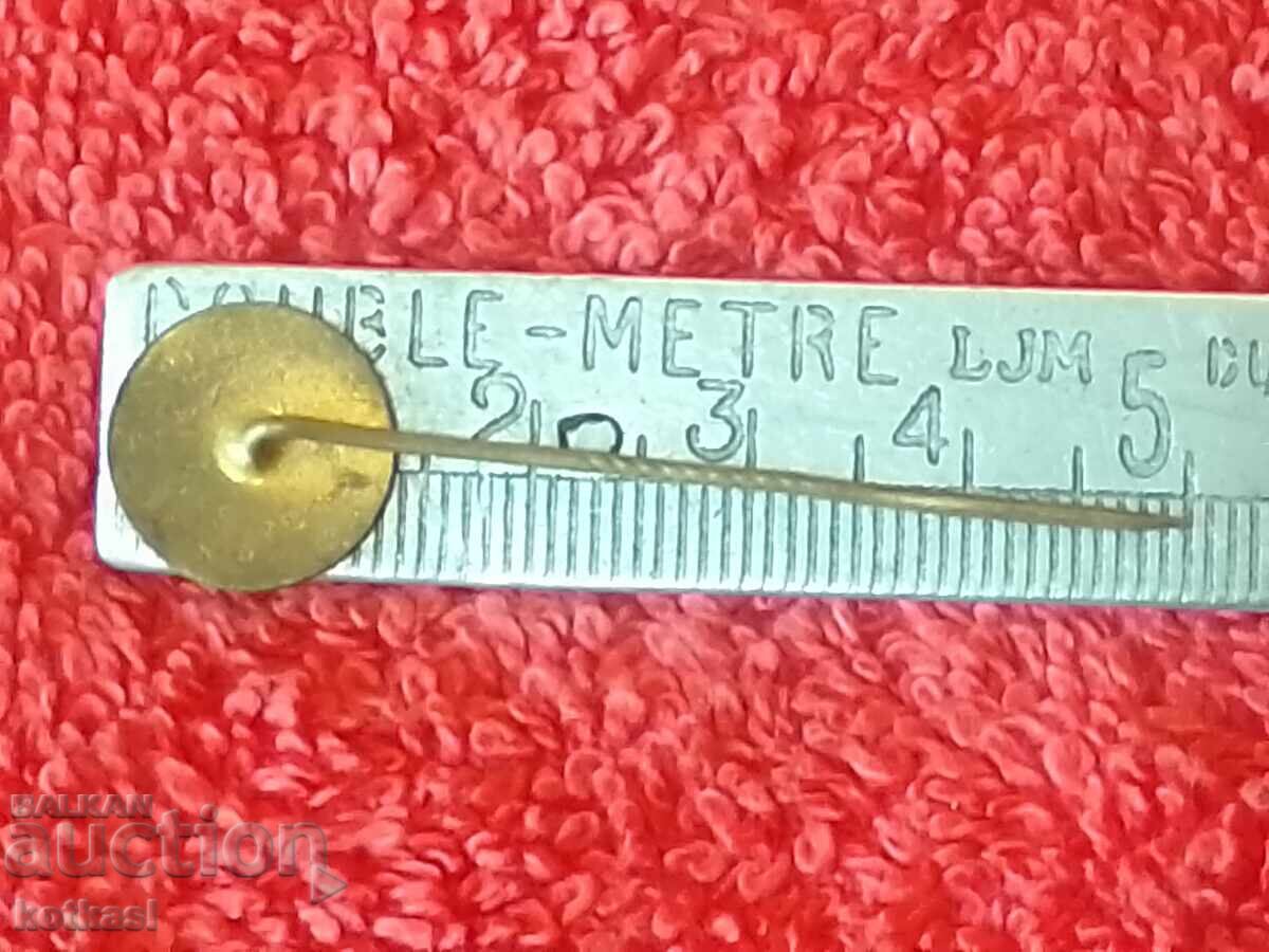 Old social badge bronze pin TESLA with price 3.50 BGN | € 1.79 Old social badge bronze pin TESLA with price 3.50 BGN | € 1.79