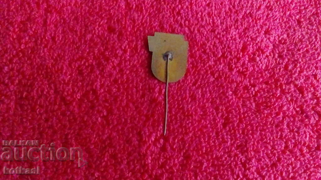 Old social badge bronze pin enamel OCZ KARDJALI - 6 Old social badge bronze pin enamel OCZ KARDJALI - 6