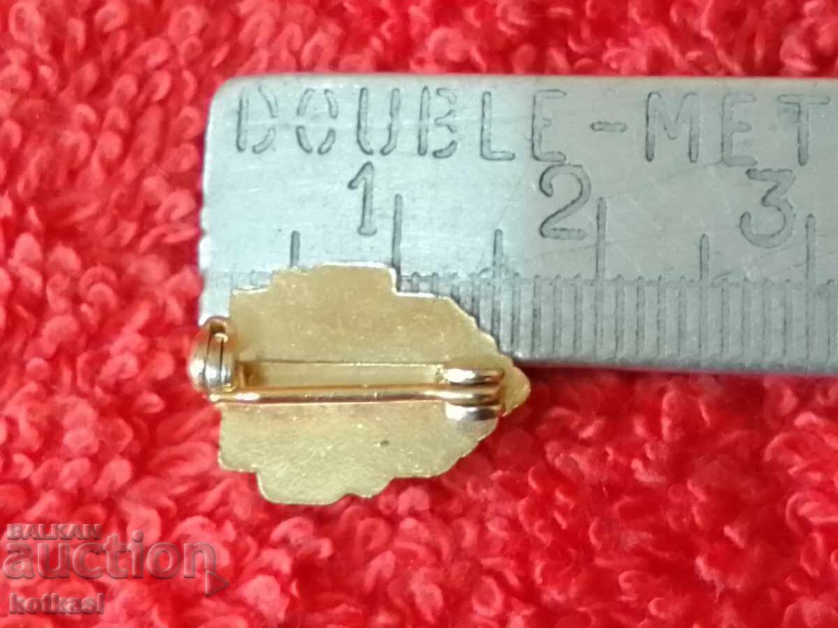 Стара религиозна значка бронз емайл Хор с цена 25.50 лв. | € 13.04