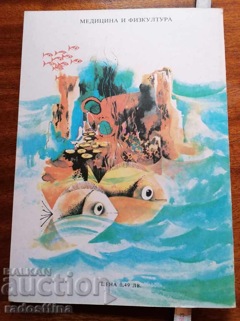 Delivery of Catwalk Gencho Adventure Delivery of Catwalk Gencho Adventure