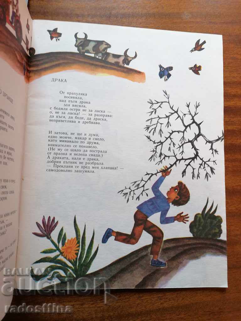 Delivery of Turtle at the Ball Children's Book Delivery of Turtle at the Ball Children's Book