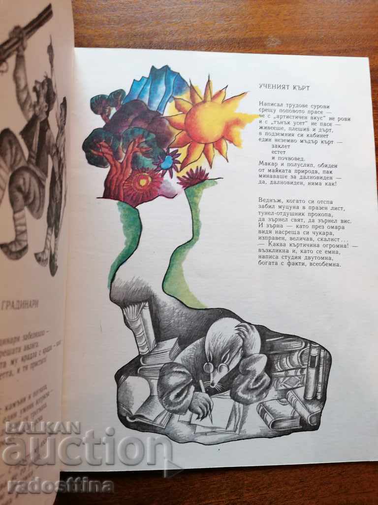 Turtle at the Ball Children's Book - 6 Turtle at the Ball Children's Book - 6