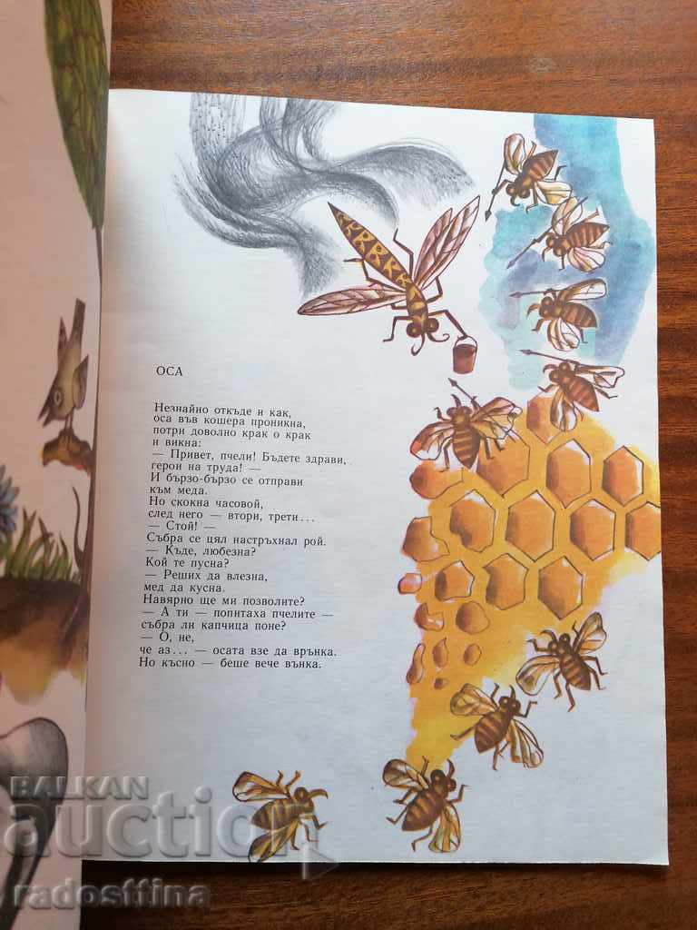 Turtle at the Ball Children's Book - 7 Turtle at the Ball Children's Book - 7