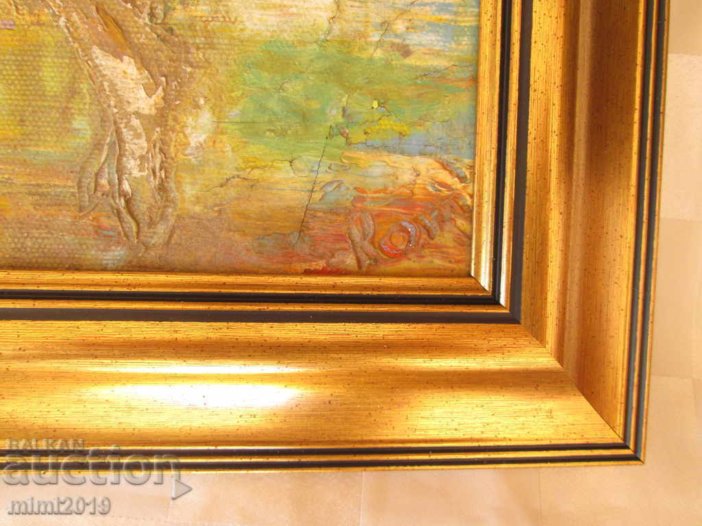 Oil painting, canvas, signed, 60x50 cm with price 350.00 BGN | € 178.95 Oil painting, canvas, signed, 60x50 cm with price 350.00 BGN | € 178.95