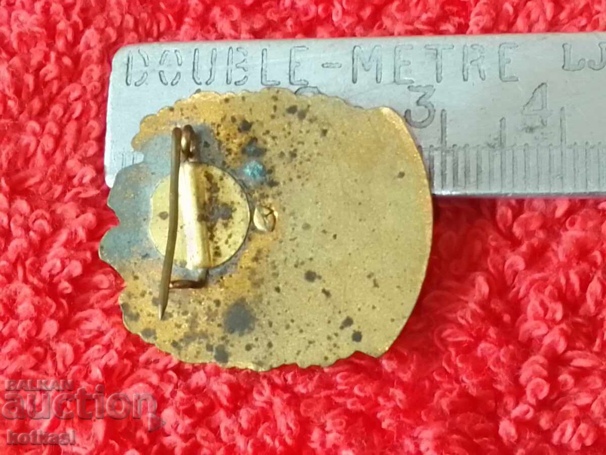 Veche insignă socială email email Cuceritor al conducătorilor de munte cu preț 21.00 BGN | € 10.74