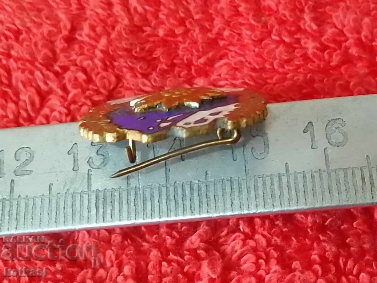 Licitație Veche insignă socială email email Cuceritor al conducătorilor de munte