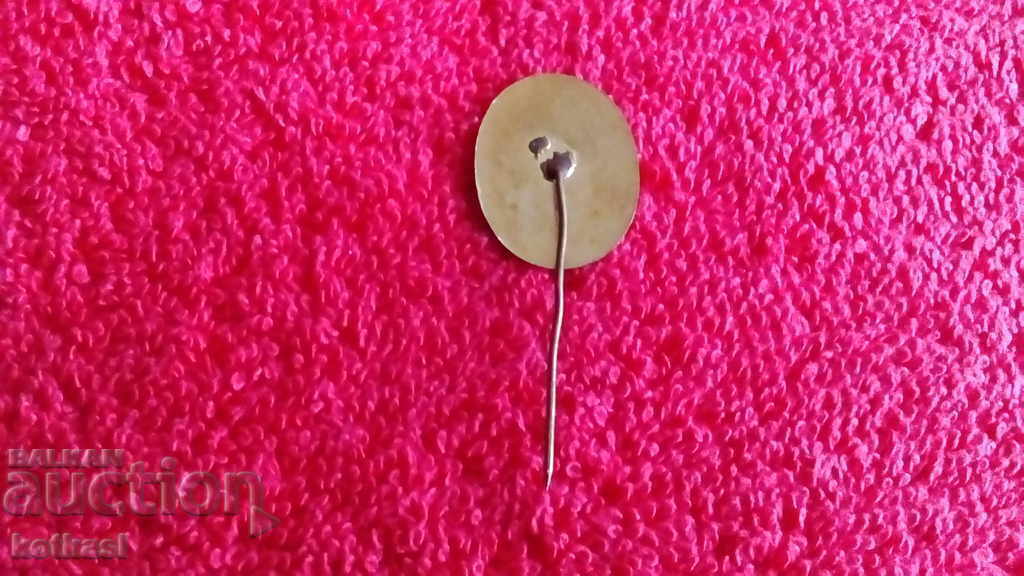 Auction Old badge bronze pin enamel Environmentalist Auction Old badge bronze pin enamel Environmentalist