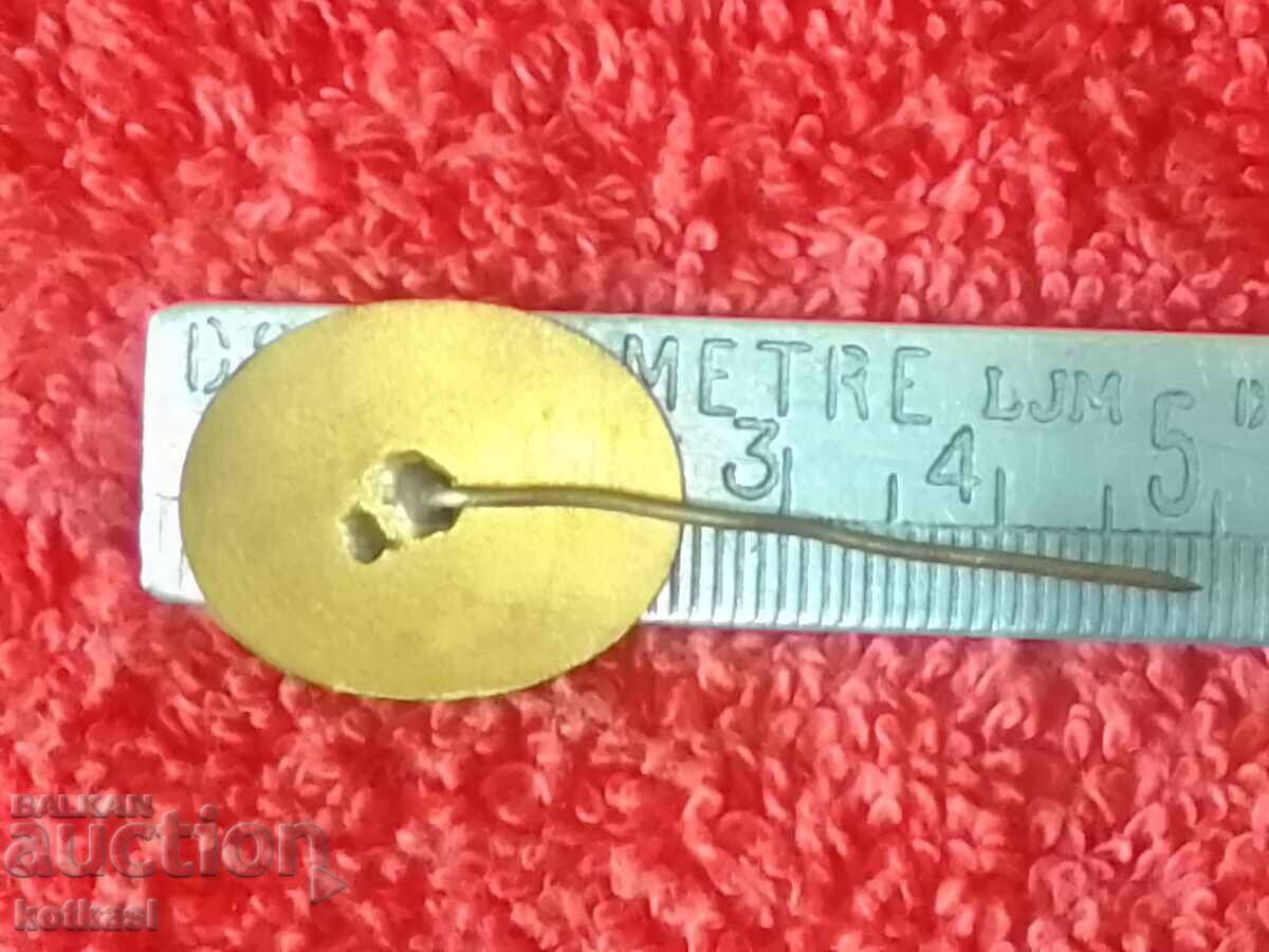 Delivery of Old badge bronze pin enamel Environmentalist Delivery of Old badge bronze pin enamel Environmentalist