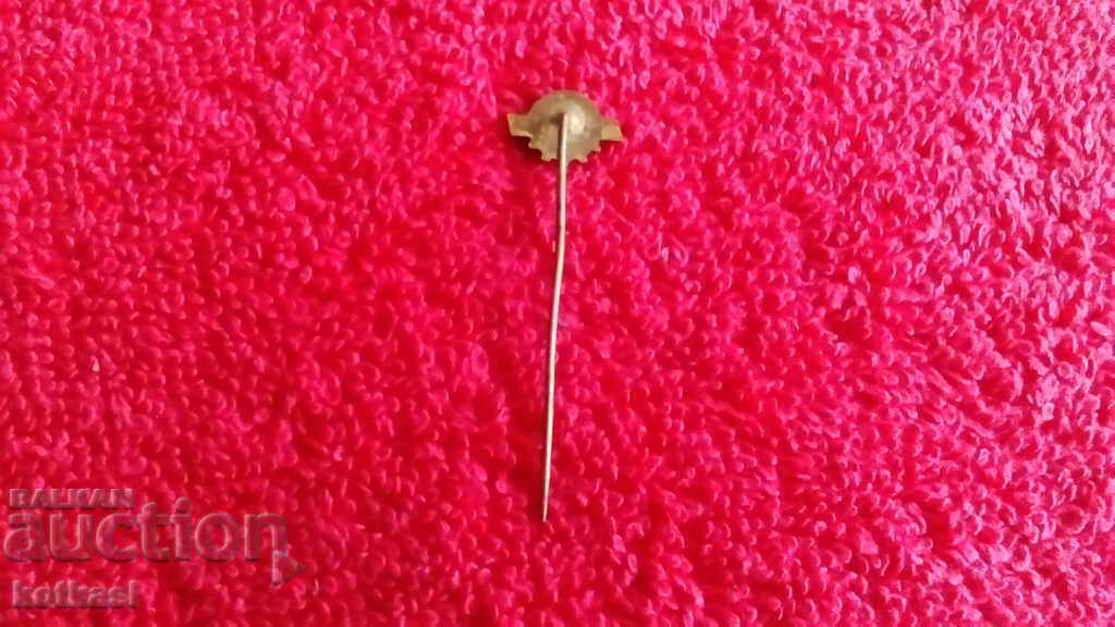 Delivery of Old badge bronze pin JEDNOTA
