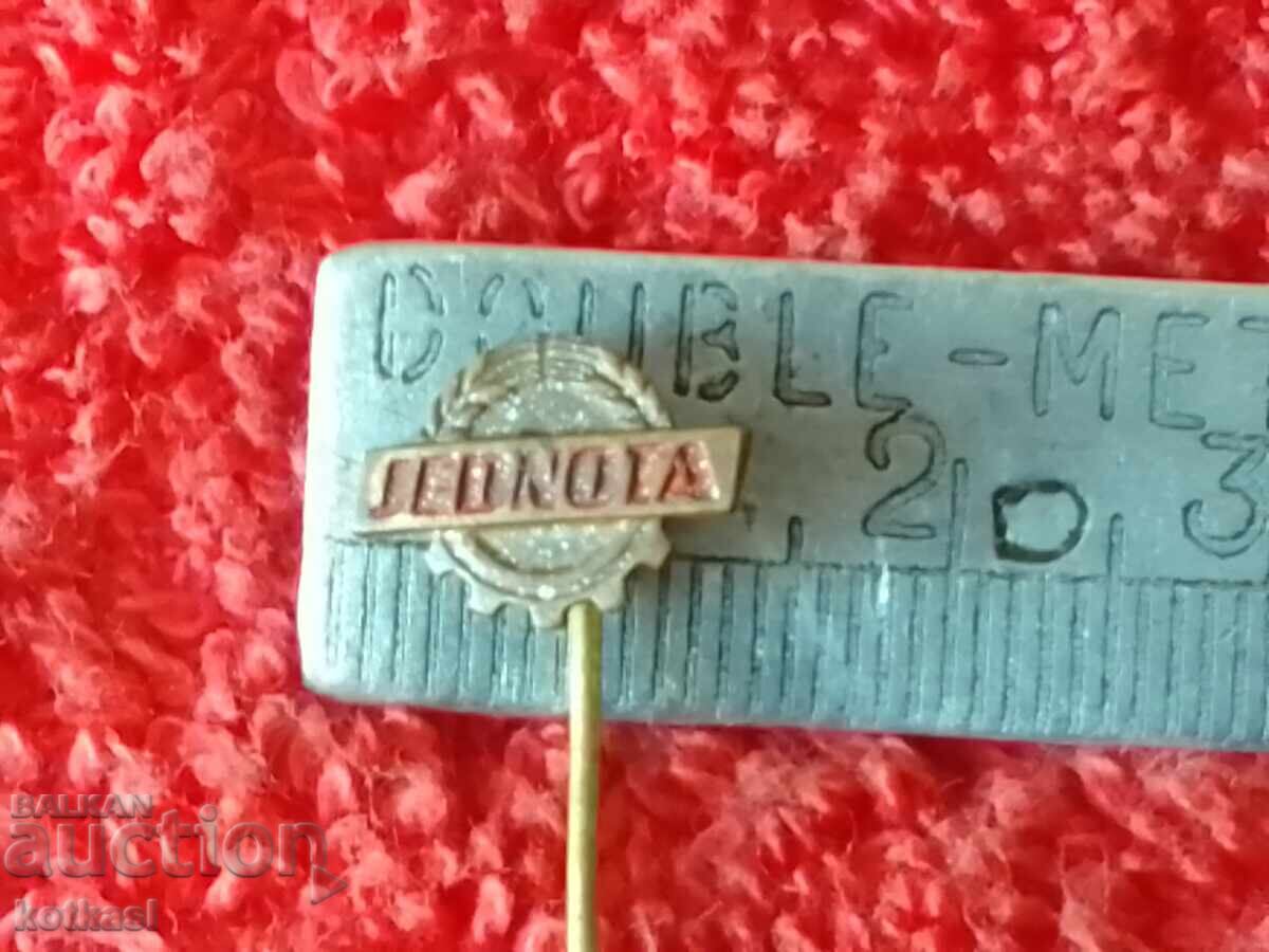 Old badge bronze pin JEDNOTA
