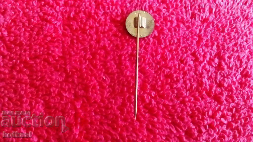 Auction  Old pin badge BREZNO