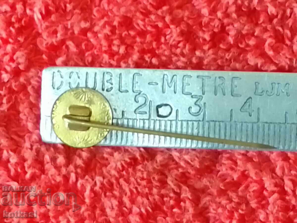 Delivery of Old pin badge BREZNO