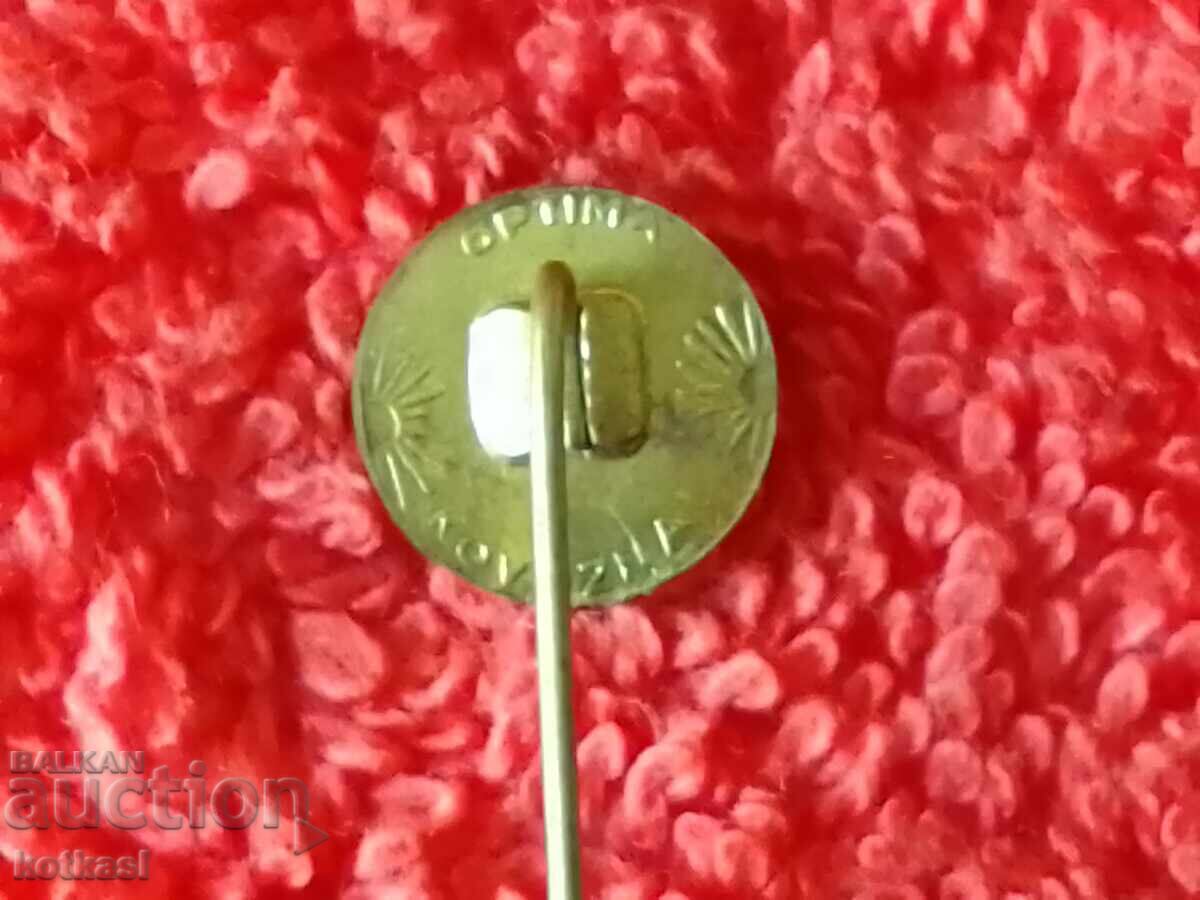 Old pin badge BREZNO - 5