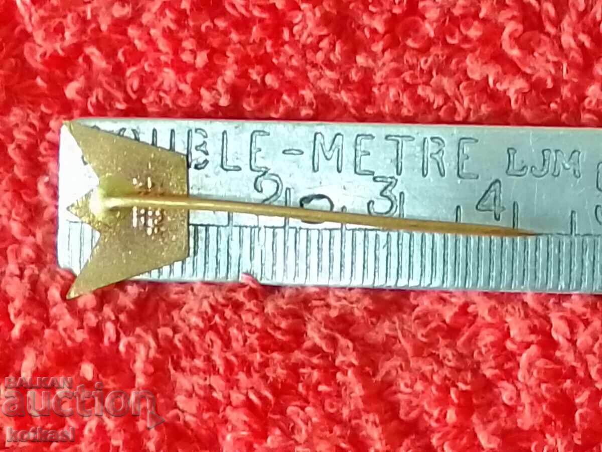 Old Metal Bronze Pin Badge Enamel KOVO with price 3.50 BGN | € 1.79