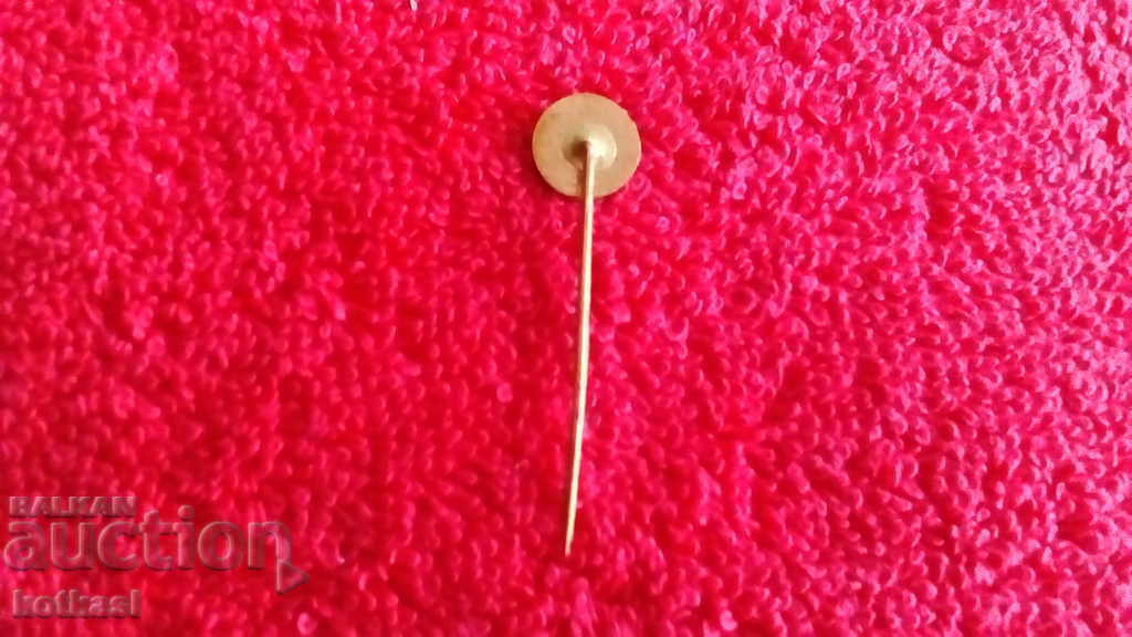 Delivery of Old massive badge bronze pin enamel Z Delivery of Old massive badge bronze pin enamel Z