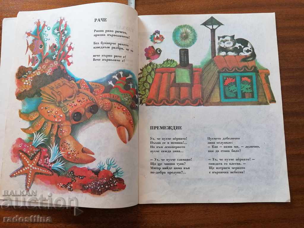 Hat to the frog with price 10.00 BGN | € 5.11 Hat to the frog with price 10.00 BGN | € 5.11