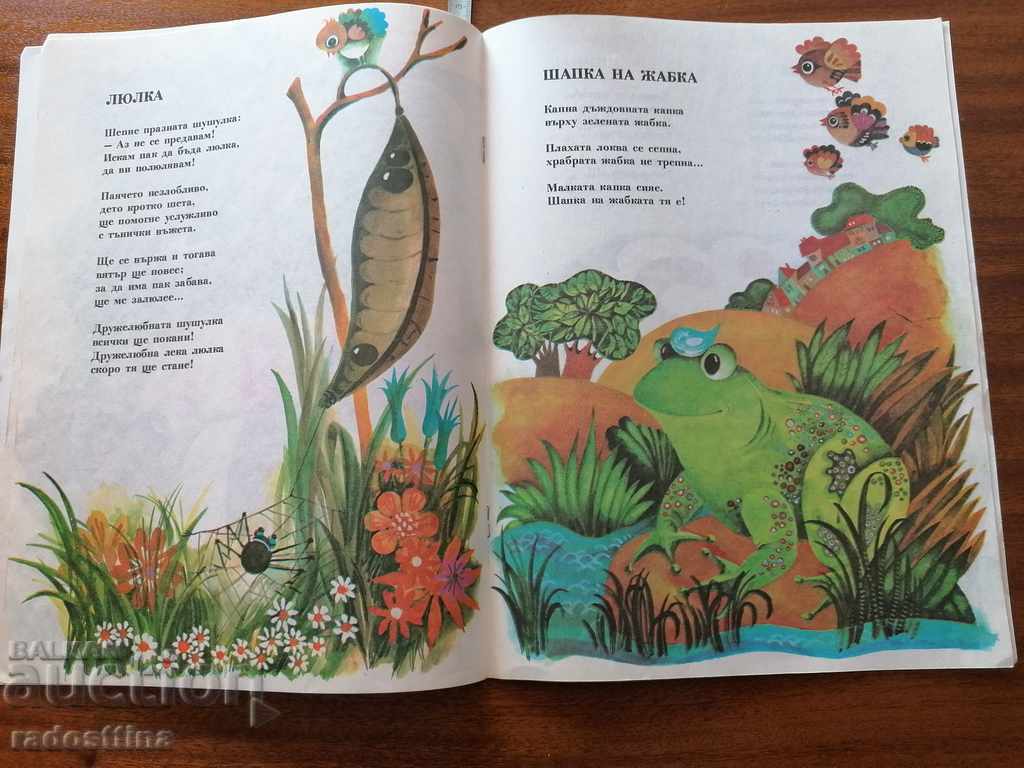 Hat to the frog - 5 Hat to the frog - 5