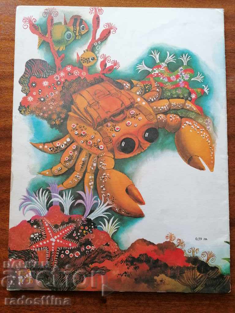 Hat to the frog - 6 Hat to the frog - 6