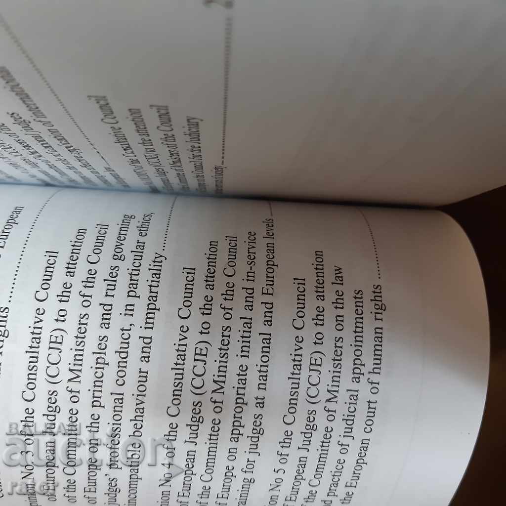 Law, court - CCJE Opinions 2009 by Krusty Tsonchev - 5