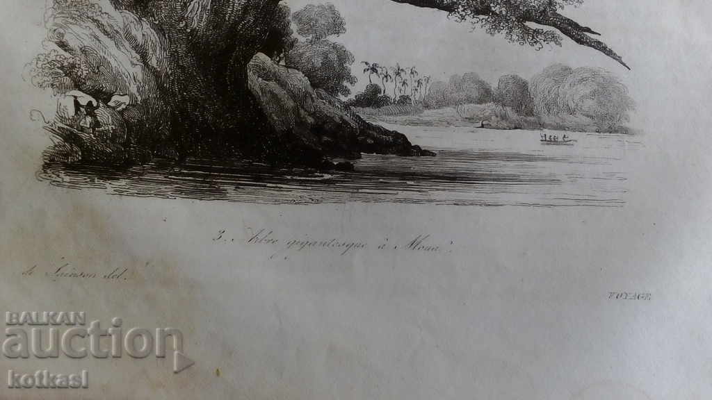 Old engraving graphic lithography with price 35.50 BGN | € 18.15 Old engraving graphic lithography with price 35.50 BGN | € 18.15