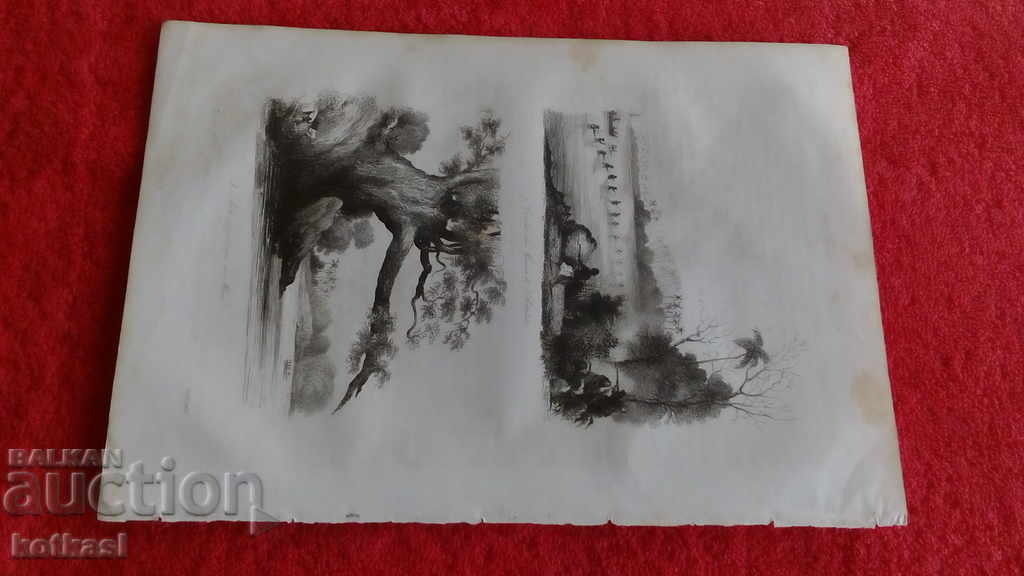 Old engraving graphic lithography - 5 Old engraving graphic lithography - 5