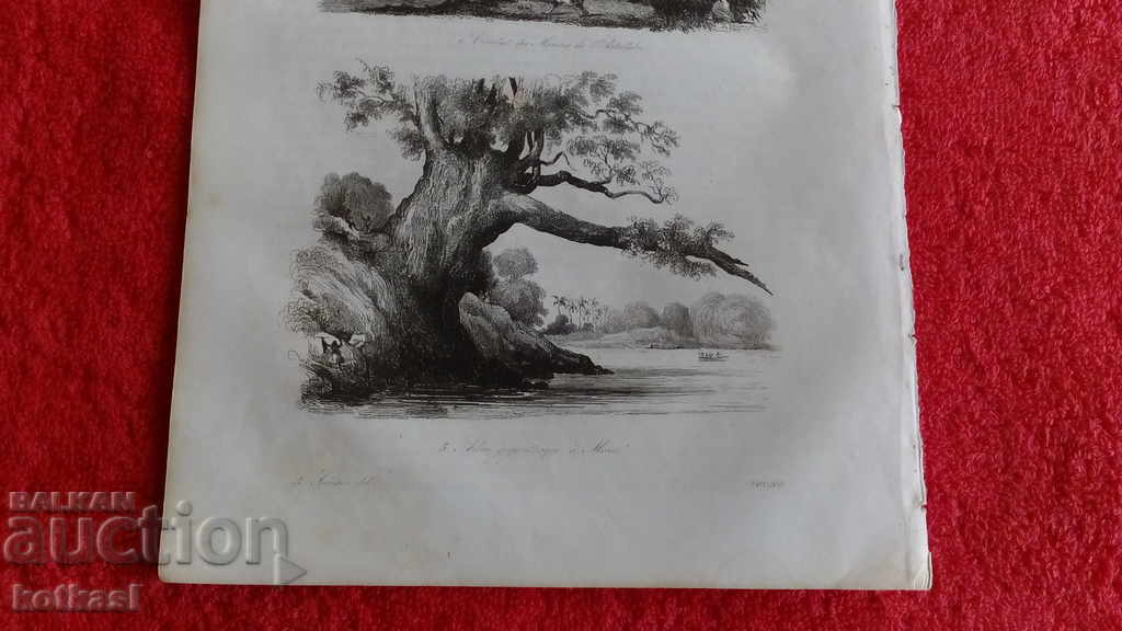 Old engraving graphic lithography Old engraving graphic lithography