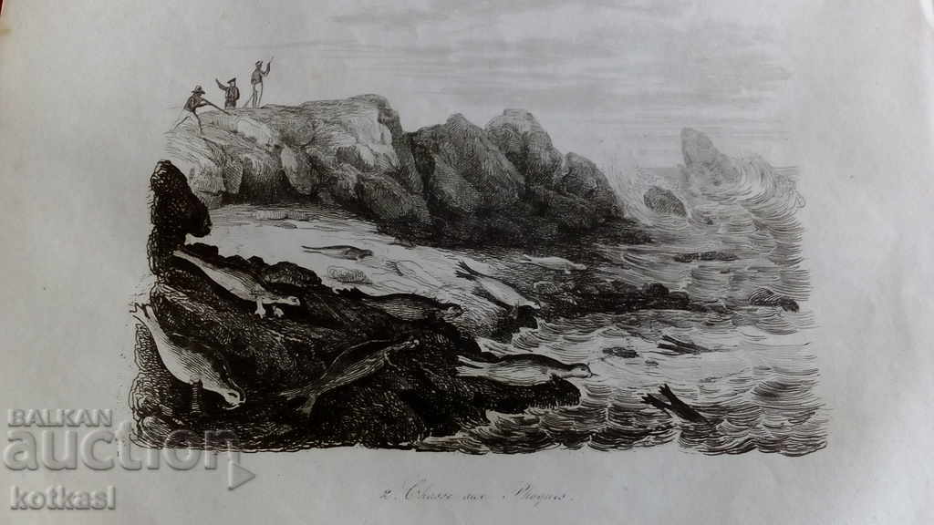 Old engraving lithograph graphic with price 35.50 BGN | € 18.15 Old engraving lithograph graphic with price 35.50 BGN | € 18.15