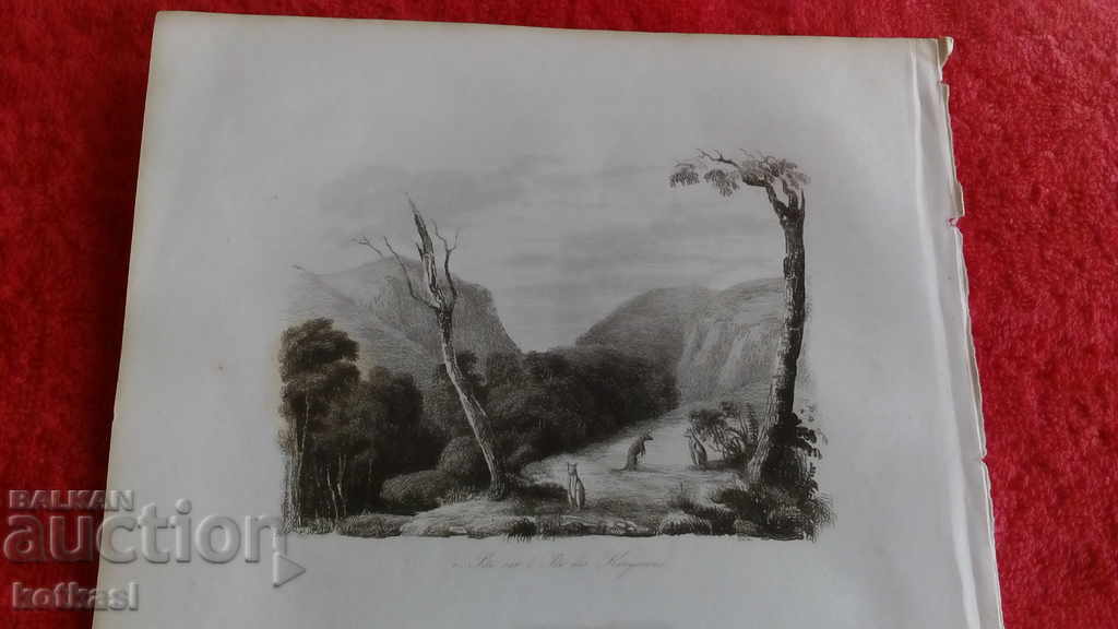 Auction  Old engraving lithograph graphic