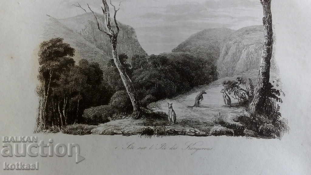 Delivery of Old engraving lithograph graphic