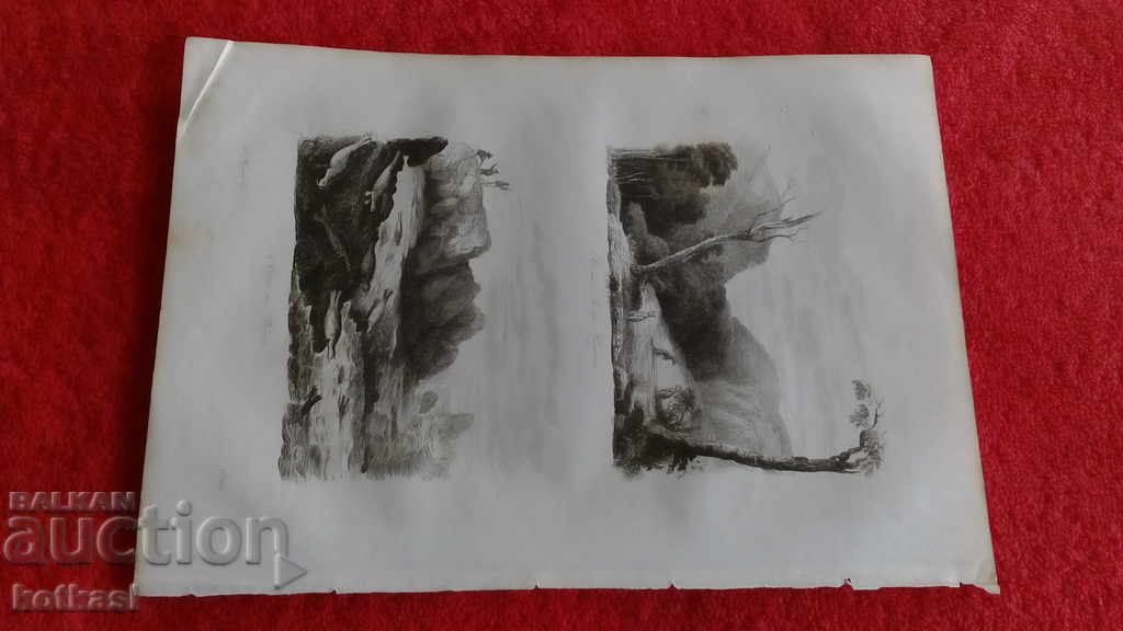 Old engraving lithograph graphic - 5 Old engraving lithograph graphic - 5