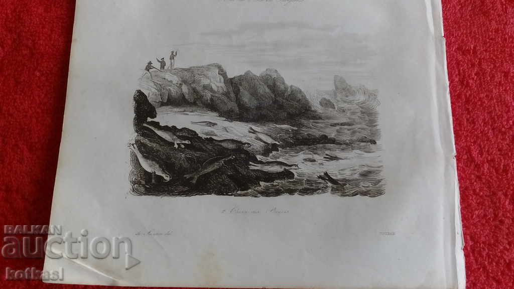 Old engraving lithograph graphic Old engraving lithograph graphic