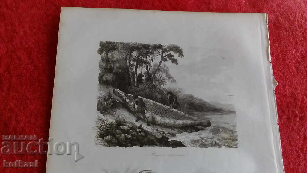 Old engraving lithograph graphic with price 35.50 BGN | € 18.15
