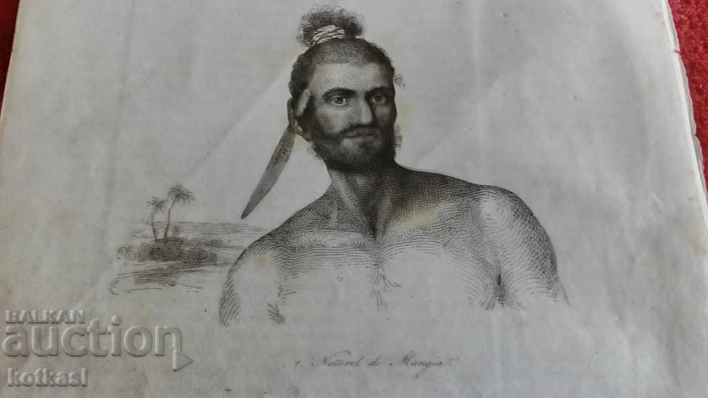 Auction  Old engraving lithograph graphic