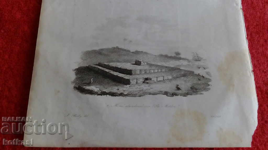 Delivery of Old engraving lithograph graphic