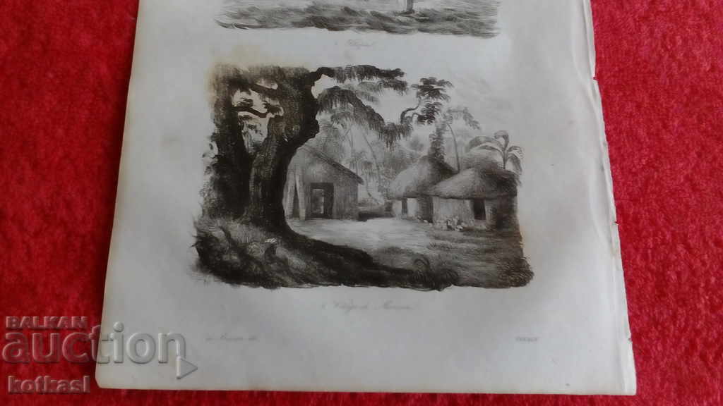 Delivery of Old engraving lithograph graphic Delivery of Old engraving lithograph graphic