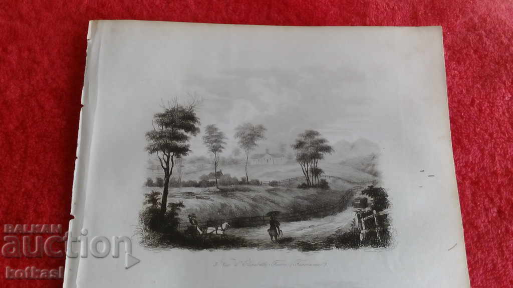 Old engraving lithograph graphic with price 35.50 BGN | € 18.15 Old engraving lithograph graphic with price 35.50 BGN | € 18.15