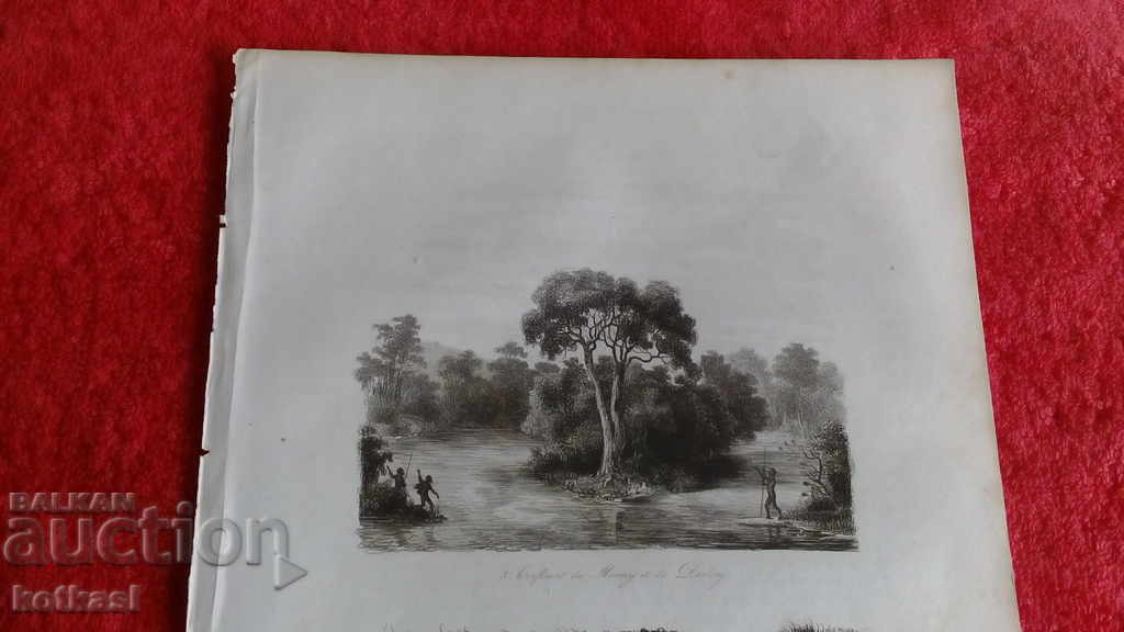 Old engraving lithograph graphic with price 35.50 BGN | € 18.15 Old engraving lithograph graphic with price 35.50 BGN | € 18.15