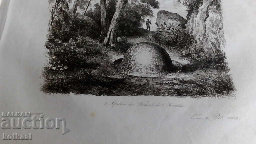 Old engraving lithograph graphic - 5 Old engraving lithograph graphic - 5