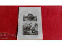 Стара гравюра литография графика